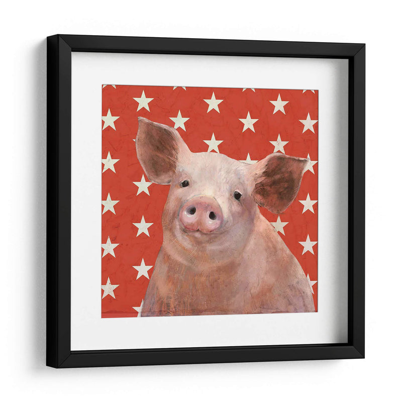 Patriotic Farm Iii - Victoria Borges | Cuadro decorativo de Canvas Lab