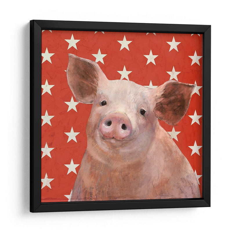 Patriotic Farm Iii - Victoria Borges | Cuadro decorativo de Canvas Lab