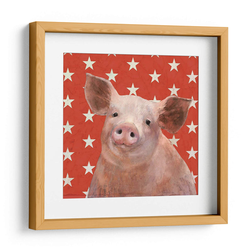 Patriotic Farm Iii - Victoria Borges | Cuadro decorativo de Canvas Lab