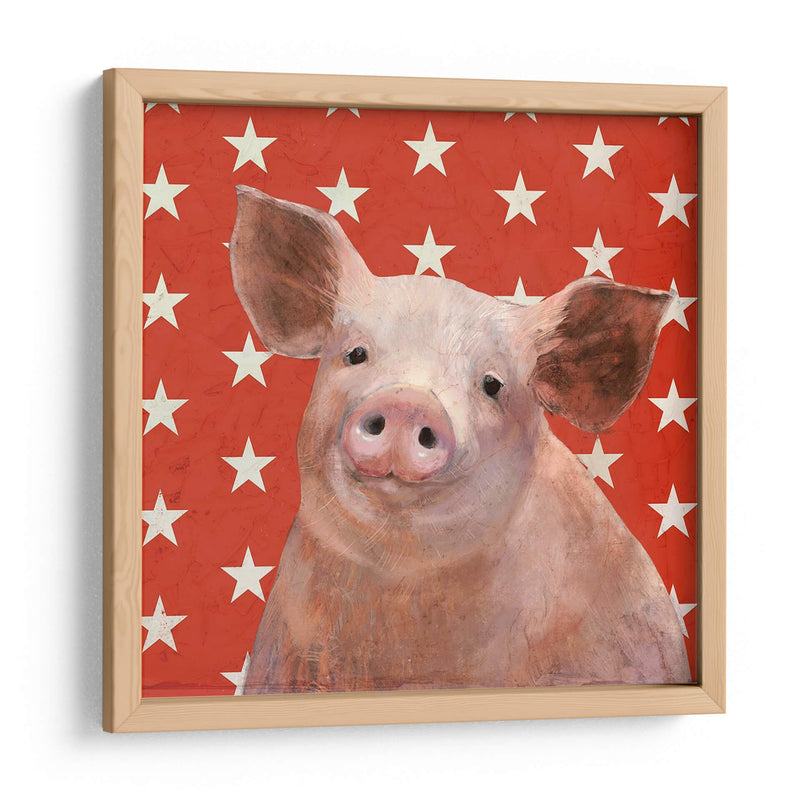 Patriotic Farm Iii - Victoria Borges | Cuadro decorativo de Canvas Lab