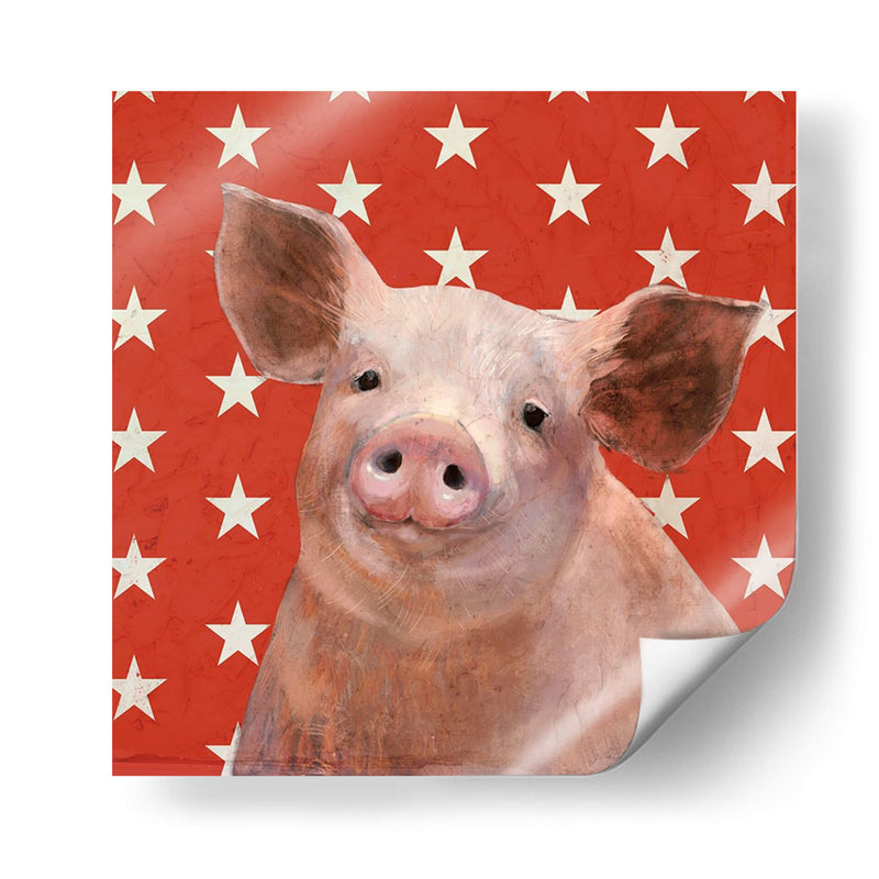 Patriotic Farm Iii - Victoria Borges | Cuadro decorativo de Canvas Lab