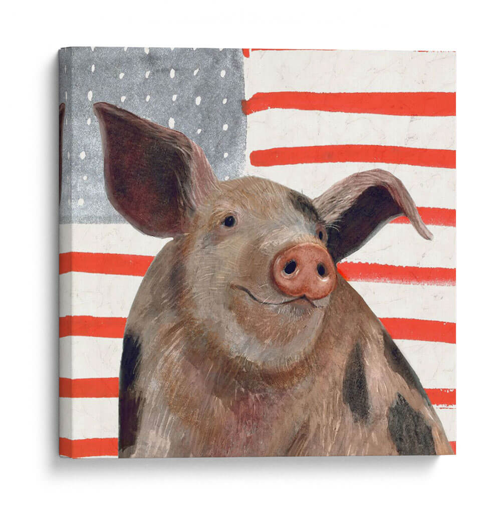 Patriotic Farm Iv - Victoria Borges | Cuadro decorativo de Canvas Lab
