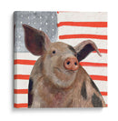 Patriotic Farm Iv - Victoria Borges | Cuadro decorativo de Canvas Lab