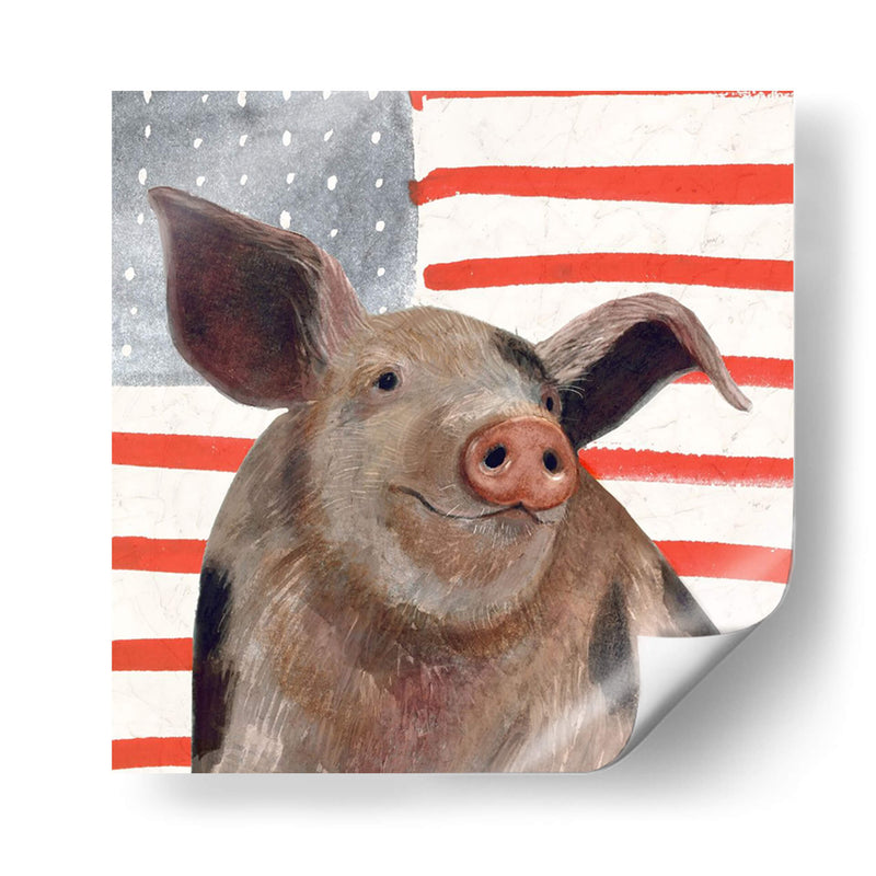 Patriotic Farm Iv - Victoria Borges | Cuadro decorativo de Canvas Lab