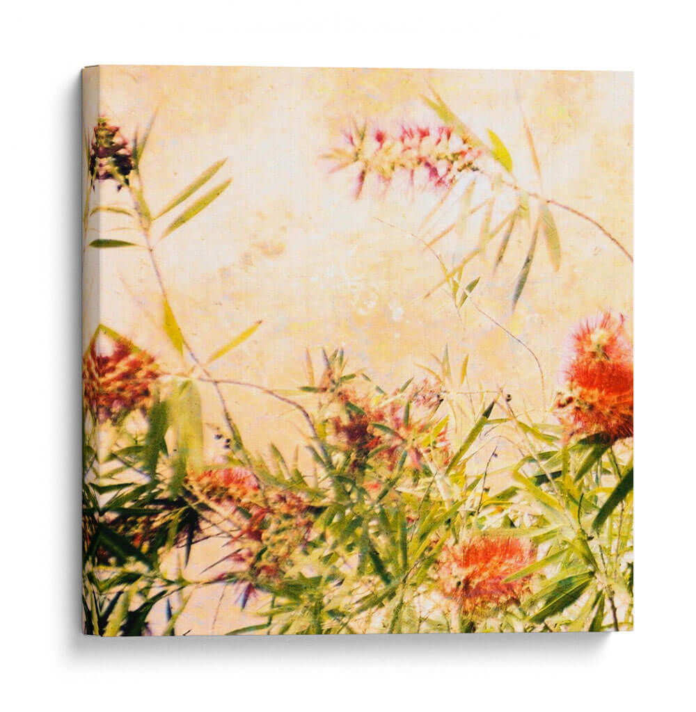 Cepillo De Botella Iii - Skip Nall | Cuadro decorativo de Canvas Lab