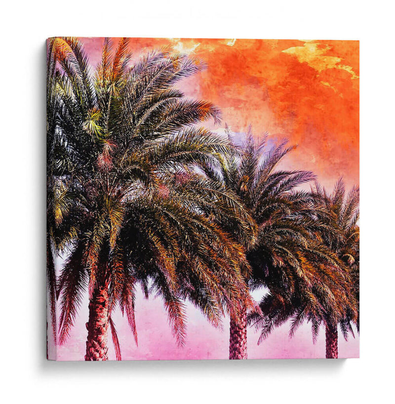 Hifi Palms I - Skip Nall | Cuadro decorativo de Canvas Lab