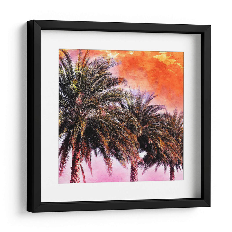 Hifi Palms I - Skip Nall | Cuadro decorativo de Canvas Lab