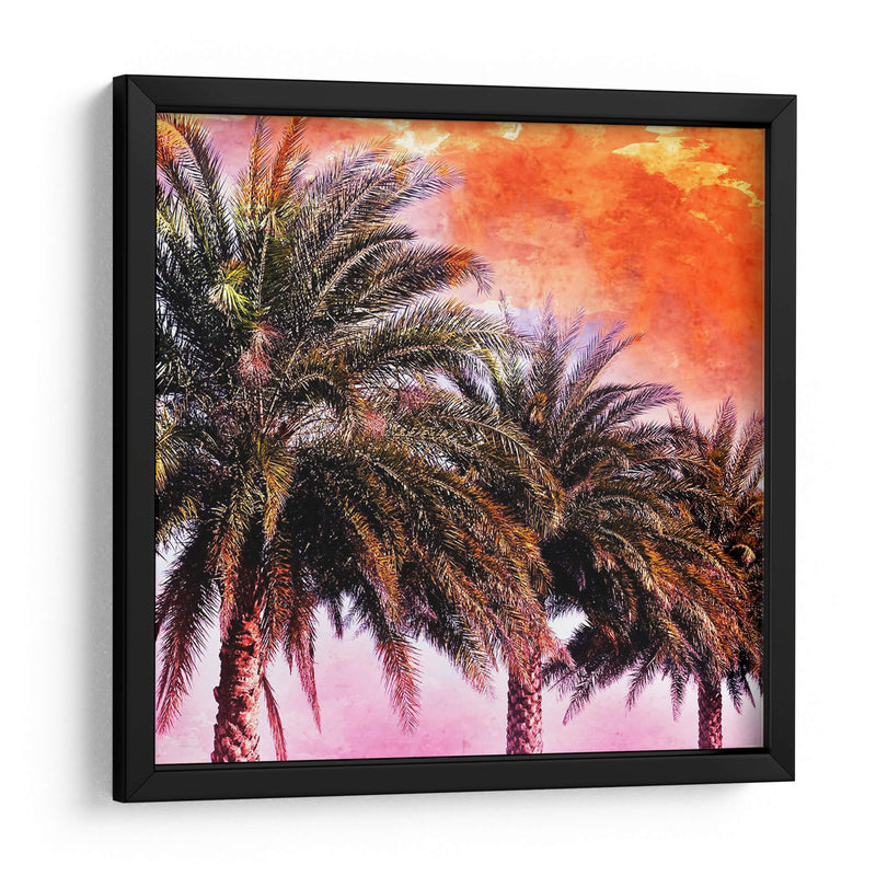 Hifi Palms I - Skip Nall | Cuadro decorativo de Canvas Lab