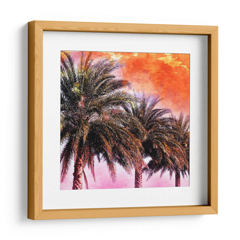 Hifi Palms I - Skip Nall | Cuadro decorativo de Canvas Lab