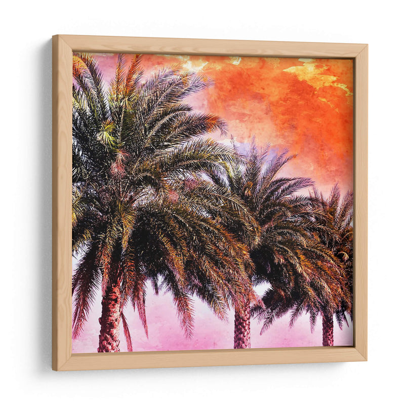 Hifi Palms I - Skip Nall | Cuadro decorativo de Canvas Lab