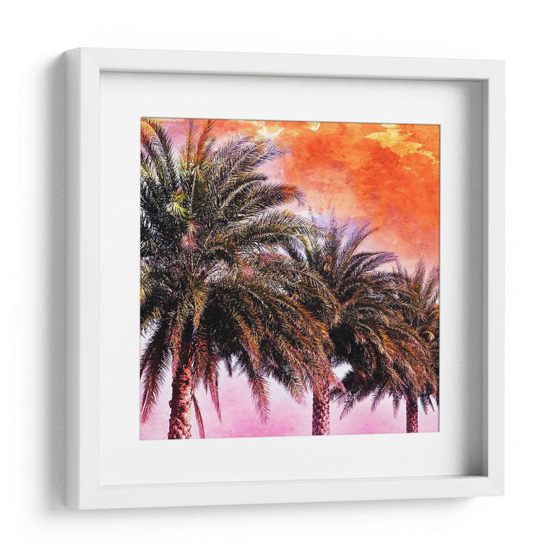 Hifi Palms I - Skip Nall | Cuadro decorativo de Canvas Lab