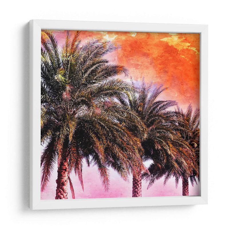 Hifi Palms I - Skip Nall | Cuadro decorativo de Canvas Lab