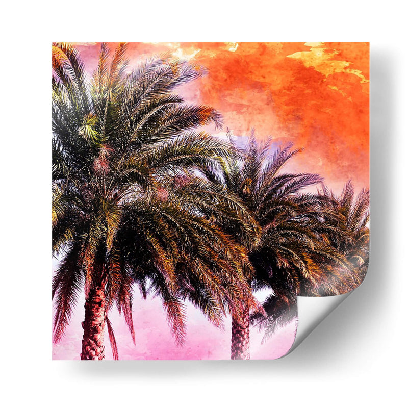 Hifi Palms I - Skip Nall | Cuadro decorativo de Canvas Lab