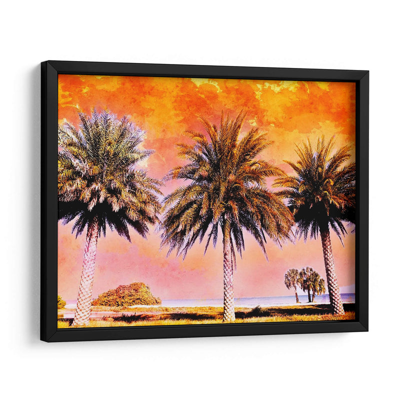 Hifi Palms Ii - Skip Nall | Cuadro decorativo de Canvas Lab