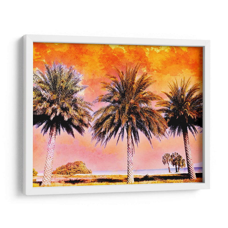 Hifi Palms Ii - Skip Nall | Cuadro decorativo de Canvas Lab