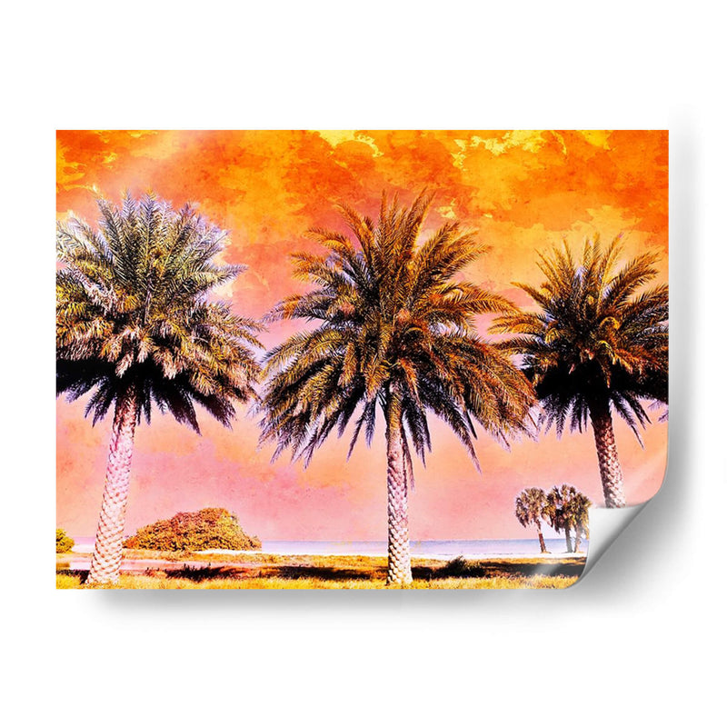 Hifi Palms Ii - Skip Nall | Cuadro decorativo de Canvas Lab