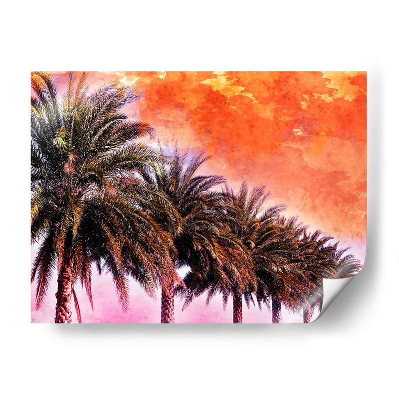 Hifi Palms Iii - Skip Nall | Cuadro decorativo de Canvas Lab