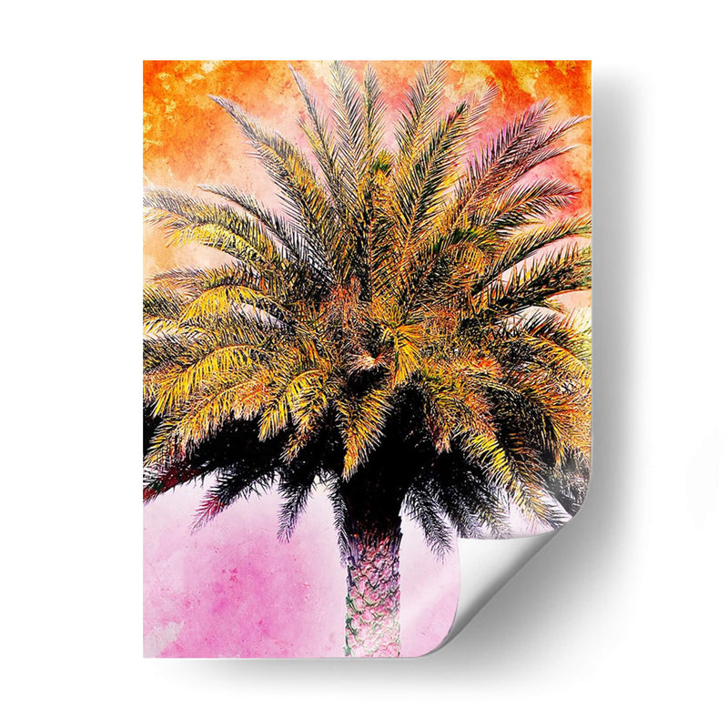 Hifi Palms Iv - Skip Nall | Cuadro decorativo de Canvas Lab