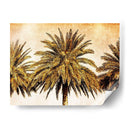 Palmas En Brown Iii - Skip Nall | Cuadro decorativo de Canvas Lab
