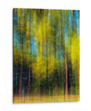 Árbol Borroso I - Skip Nall | Cuadro decorativo de Canvas Lab