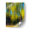 Árbol Borroso I - Skip Nall | Cuadro decorativo de Canvas Lab