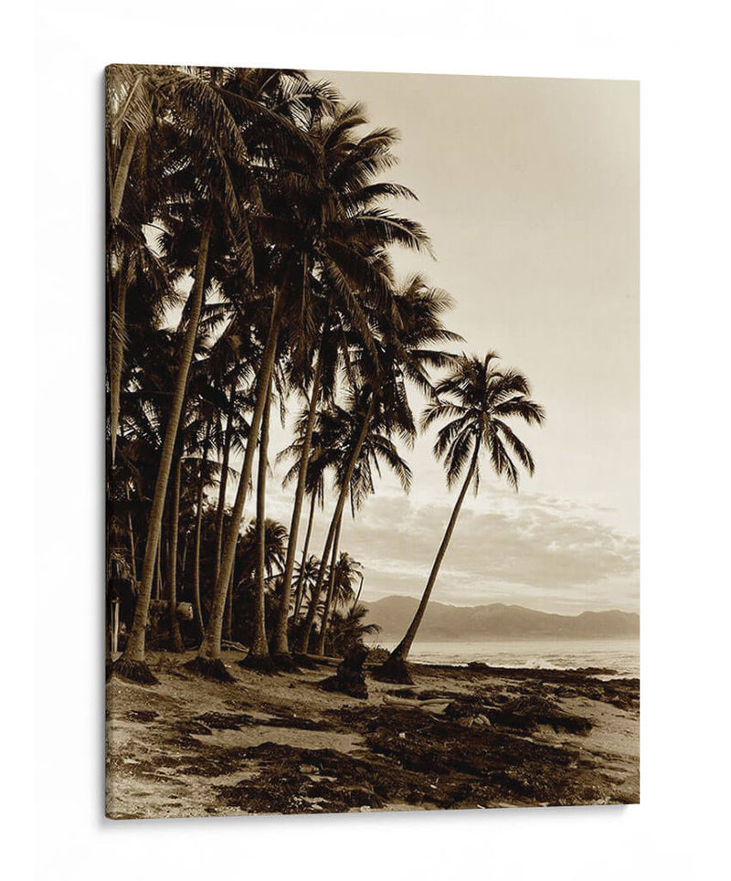 Isla Palms I - Skip Nall | Cuadro decorativo de Canvas Lab