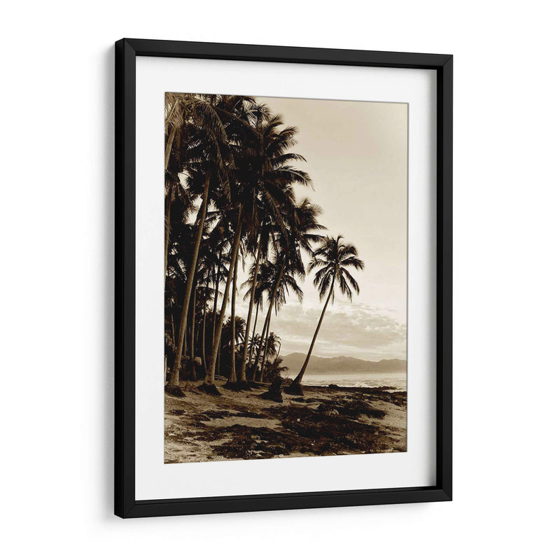 Isla Palms I - Skip Nall | Cuadro decorativo de Canvas Lab