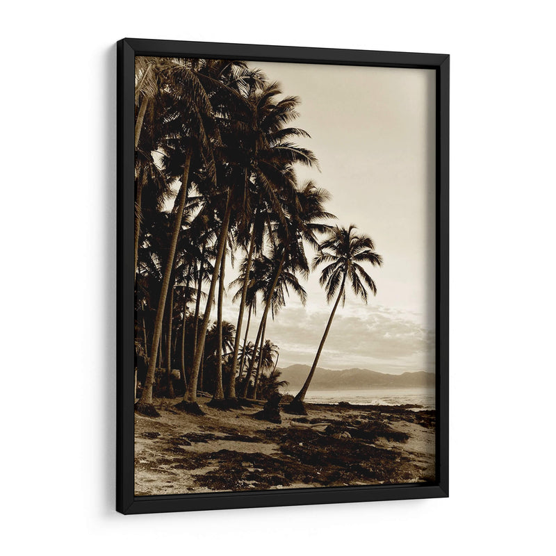 Isla Palms I - Skip Nall | Cuadro decorativo de Canvas Lab