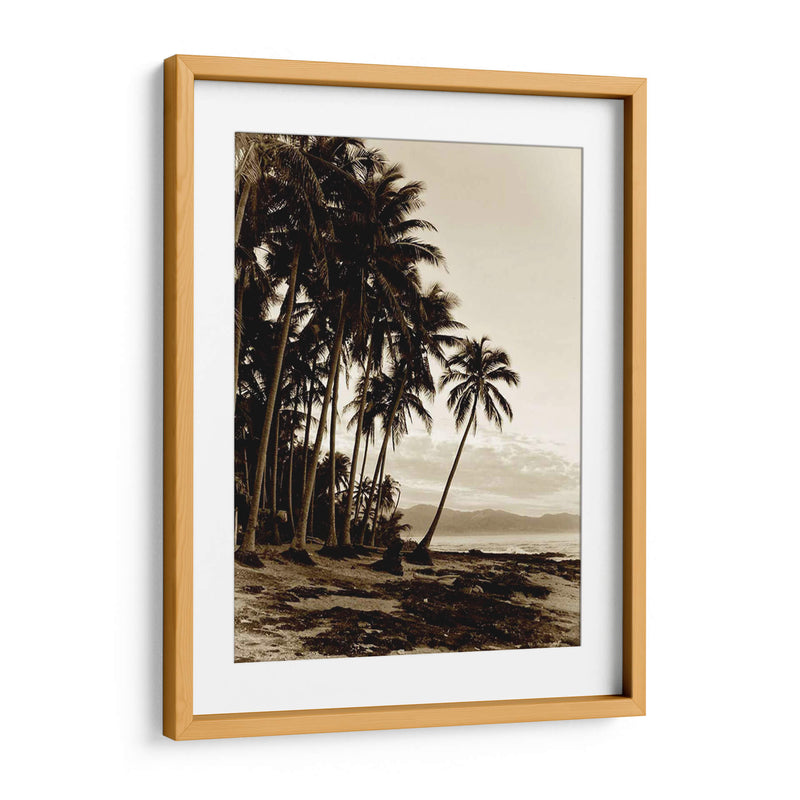 Isla Palms I - Skip Nall | Cuadro decorativo de Canvas Lab