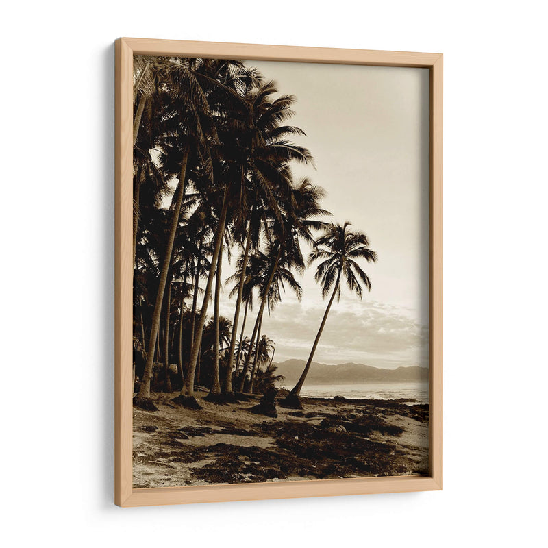 Isla Palms I - Skip Nall | Cuadro decorativo de Canvas Lab