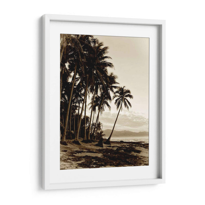 Isla Palms I - Skip Nall | Cuadro decorativo de Canvas Lab