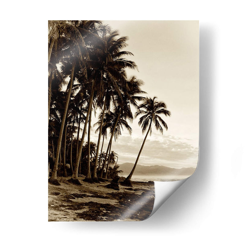 Isla Palms I - Skip Nall | Cuadro decorativo de Canvas Lab