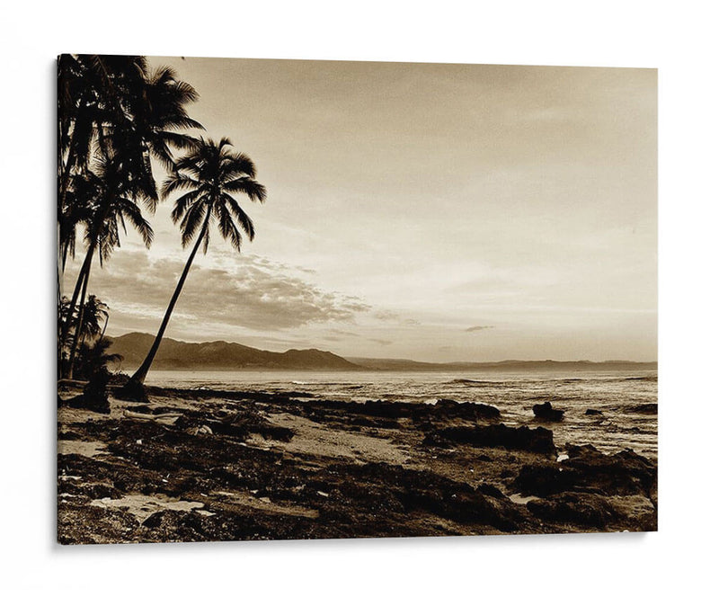 Isla Palms Ii - Skip Nall | Cuadro decorativo de Canvas Lab