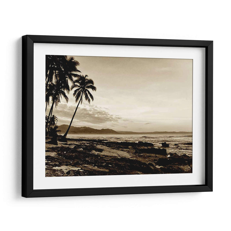 Isla Palms Ii - Skip Nall | Cuadro decorativo de Canvas Lab