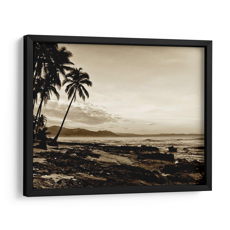 Isla Palms Ii - Skip Nall | Cuadro decorativo de Canvas Lab