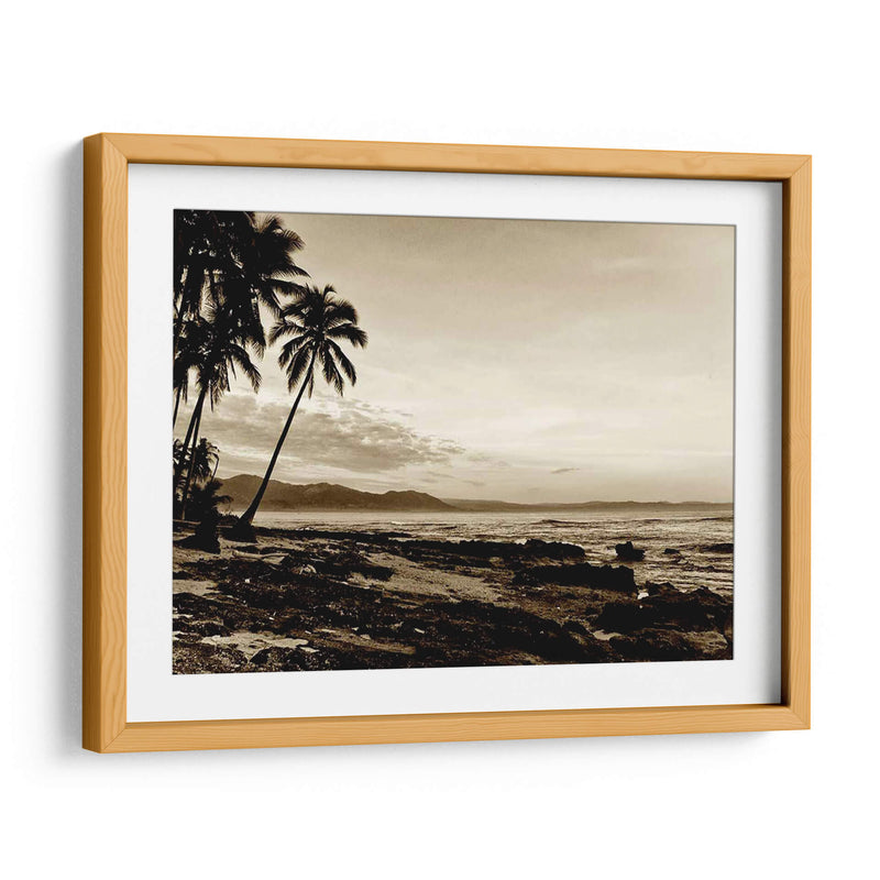 Isla Palms Ii - Skip Nall | Cuadro decorativo de Canvas Lab