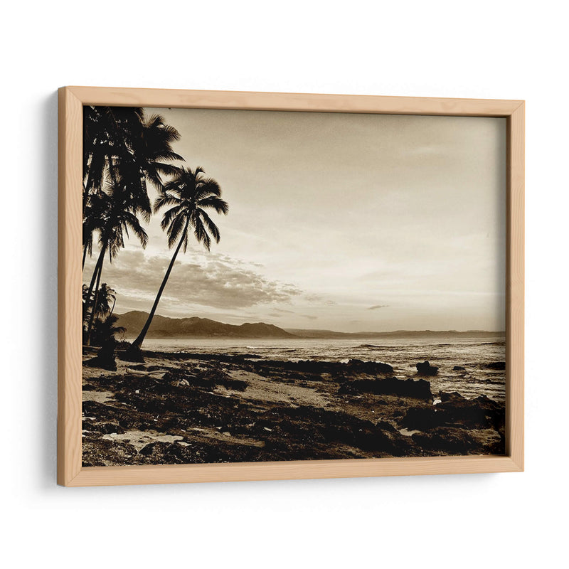 Isla Palms Ii - Skip Nall | Cuadro decorativo de Canvas Lab