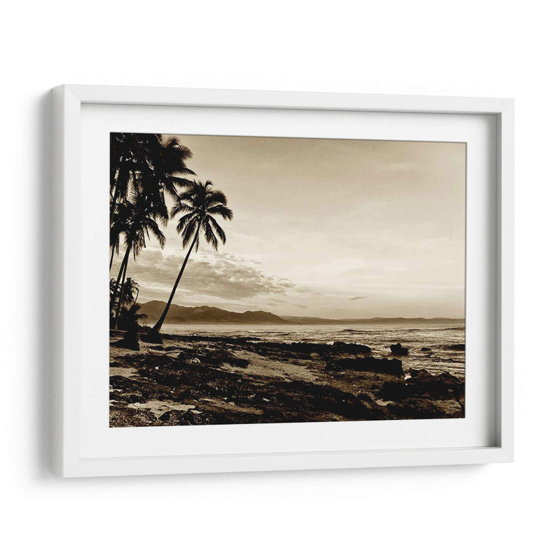 Isla Palms Ii - Skip Nall | Cuadro decorativo de Canvas Lab