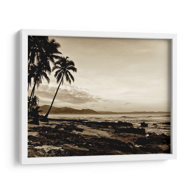 Isla Palms Ii - Skip Nall | Cuadro decorativo de Canvas Lab