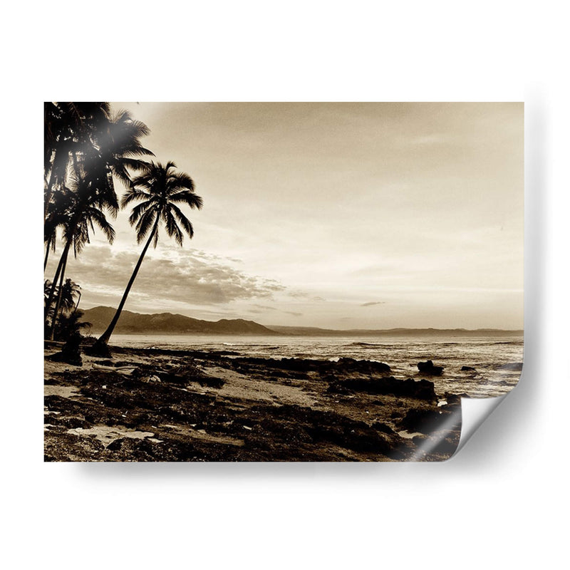 Isla Palms Ii - Skip Nall | Cuadro decorativo de Canvas Lab