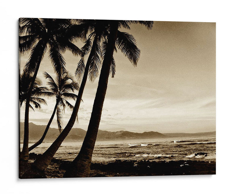 Isla Palms Iii - Skip Nall | Cuadro decorativo de Canvas Lab