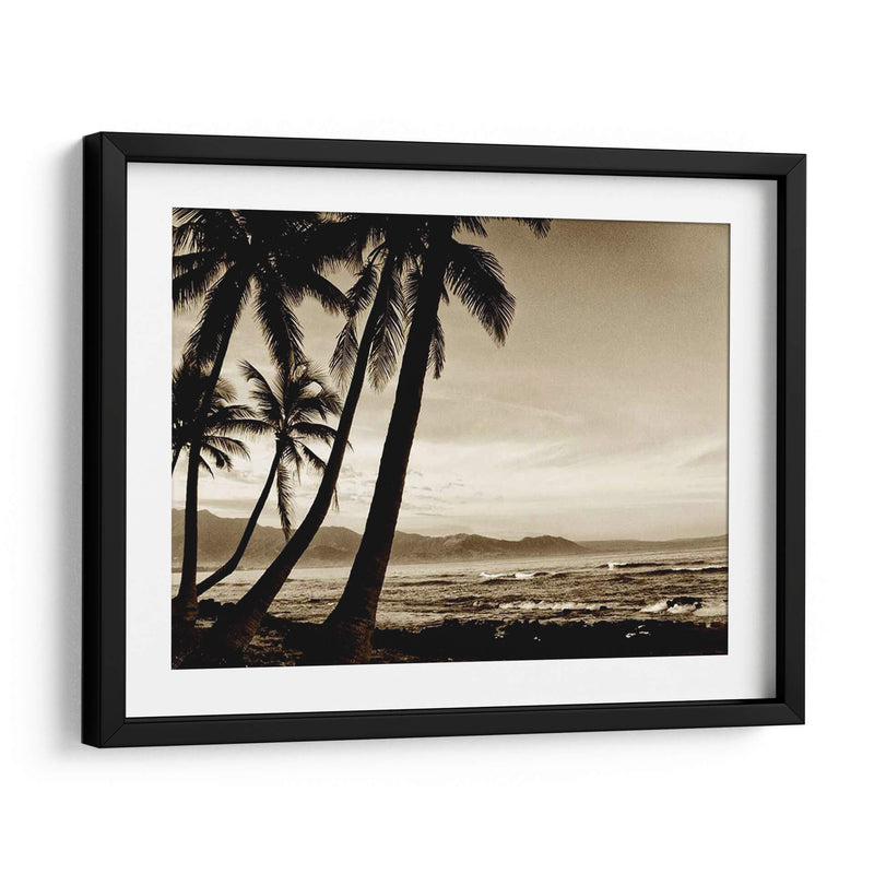 Isla Palms Iii - Skip Nall | Cuadro decorativo de Canvas Lab