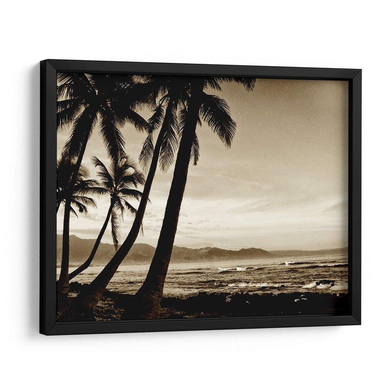 Isla Palms Iii - Skip Nall | Cuadro decorativo de Canvas Lab