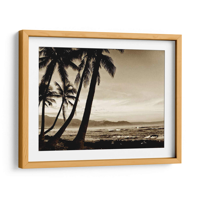 Isla Palms Iii - Skip Nall | Cuadro decorativo de Canvas Lab