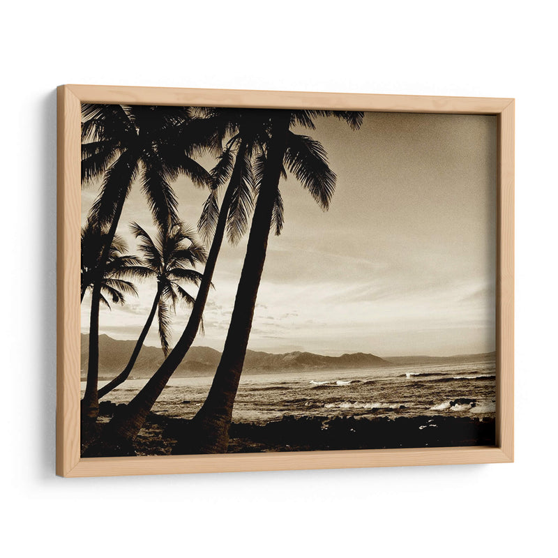 Isla Palms Iii - Skip Nall | Cuadro decorativo de Canvas Lab