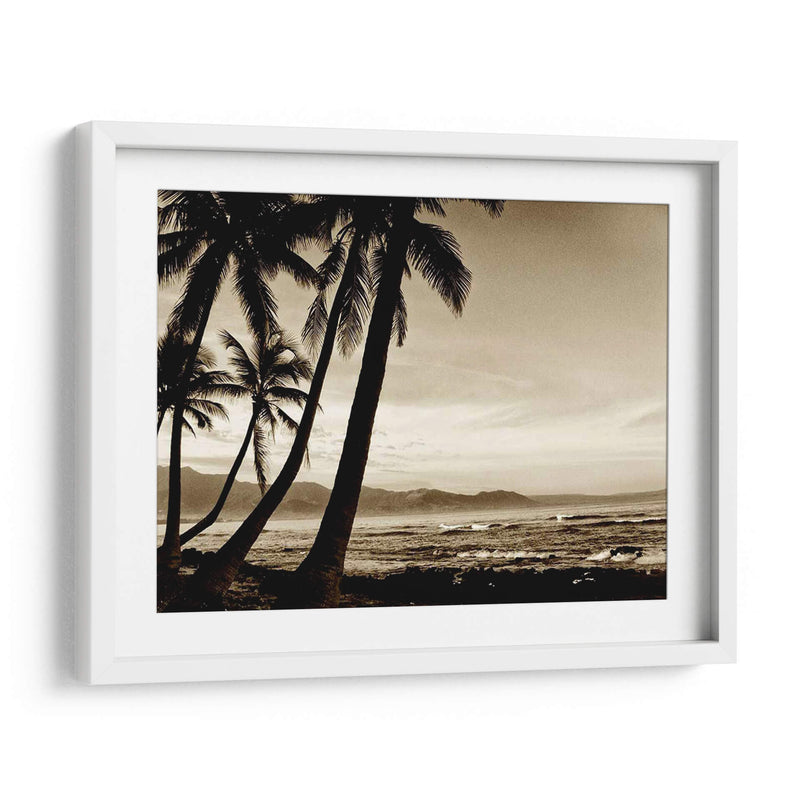 Isla Palms Iii - Skip Nall | Cuadro decorativo de Canvas Lab