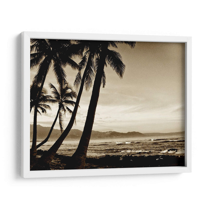 Isla Palms Iii - Skip Nall | Cuadro decorativo de Canvas Lab