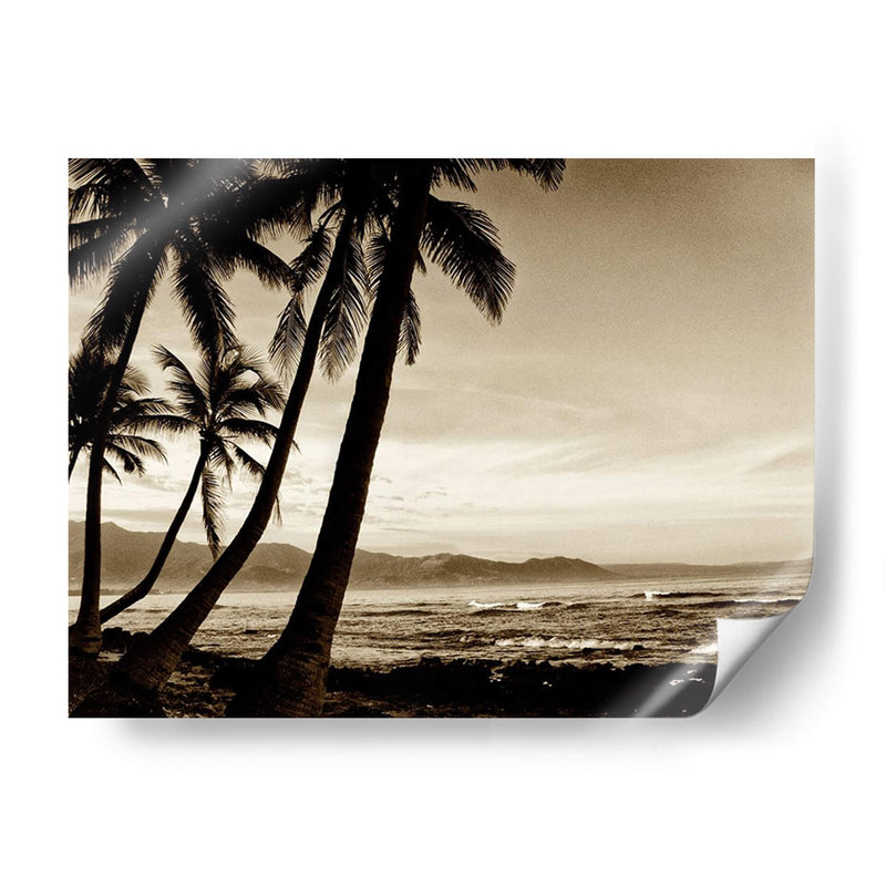 Isla Palms Iii - Skip Nall | Cuadro decorativo de Canvas Lab