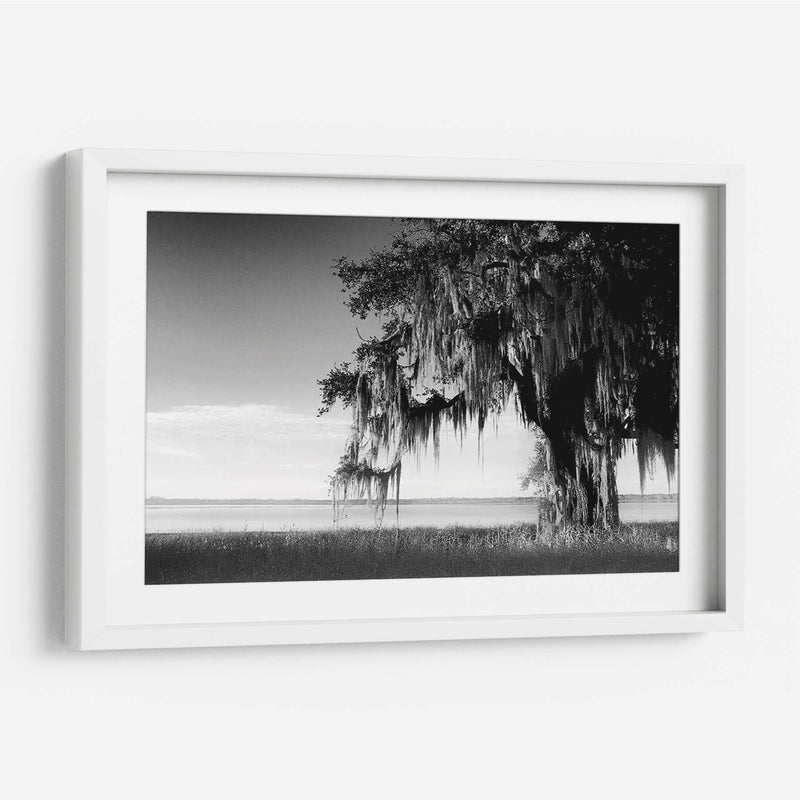 Southern Swing Iii - Skip Nall | Cuadro decorativo de Canvas Lab