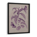 Estudio De La Naturaleza En Ciruela Y Taupe I - Maria S. Merian | Cuadro decorativo de Canvas Lab